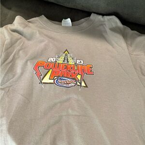 Powerline Park Graphic Tee - Gray